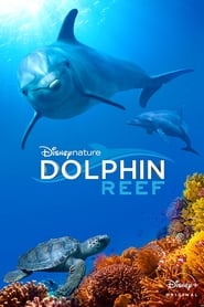 Dolphin Reef (2018)